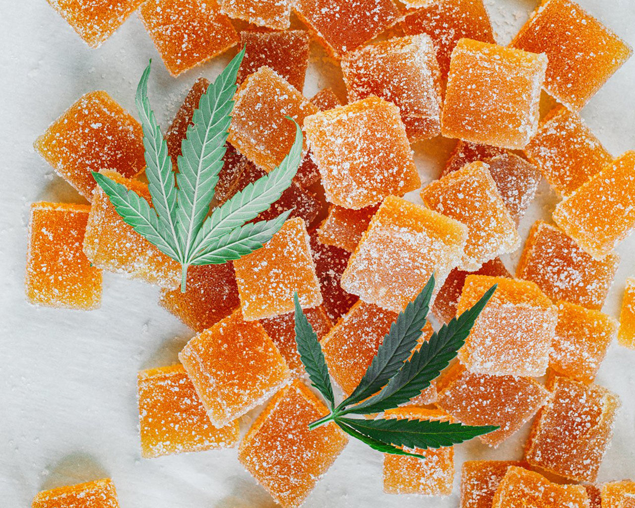 THC Gummies: Unlock the Delightful World of Cannabis Edibles